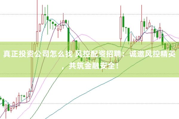真正投资公司怎么找 风控配资招聘：诚邀风控精英，共筑金融安全！