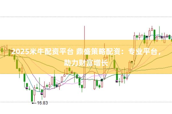 2025米牛配资平台 鼎盛策略配资：专业平台，助力财富增长