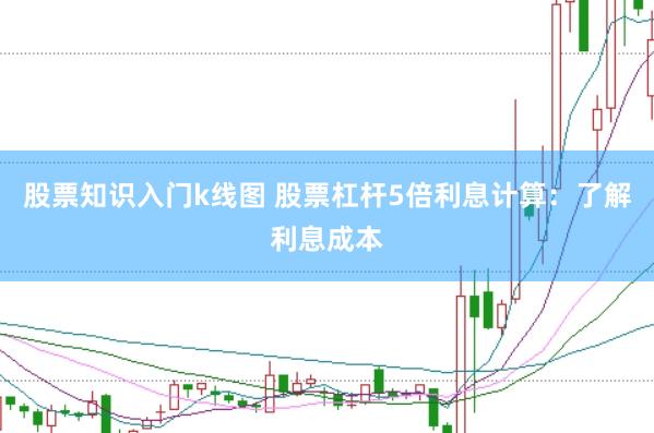 股票知识入门k线图 股票杠杆5倍利息计算：了解利息成本