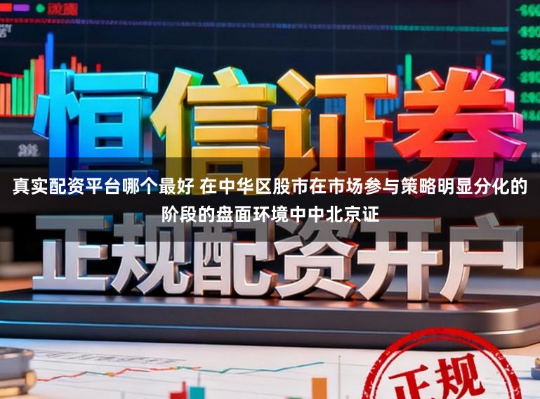 真实配资平台哪个最好 在中华区股市在市场参与策略明显分化的阶段的盘面环境中中北京证