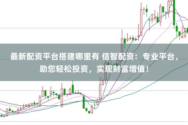 最新配资平台搭建哪里有 信智配资：专业平台，助您轻松投资，实现财富增值！