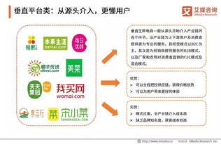 小兔鲜生 2019中国生鲜电商行业商业模式与用户画像分析报告